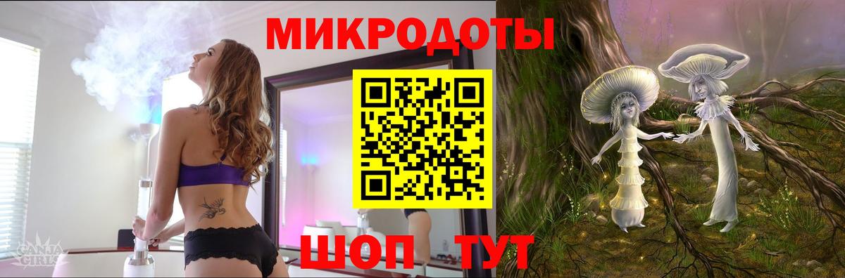 Псилоцибиновые грибы Cubensis Коркино