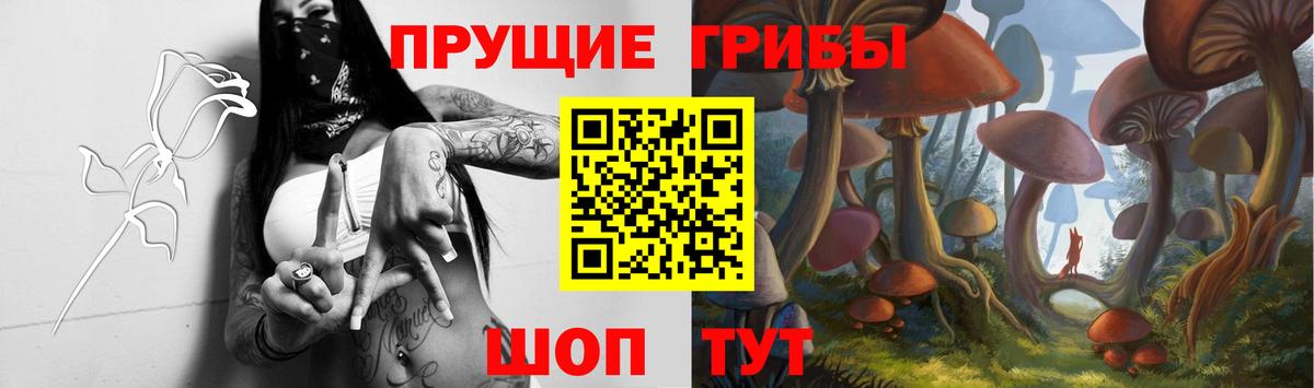 Галлюциногенные грибы мухоморы  Вход с VPN  Галлюциногенные грибы мицелий  Коркино 